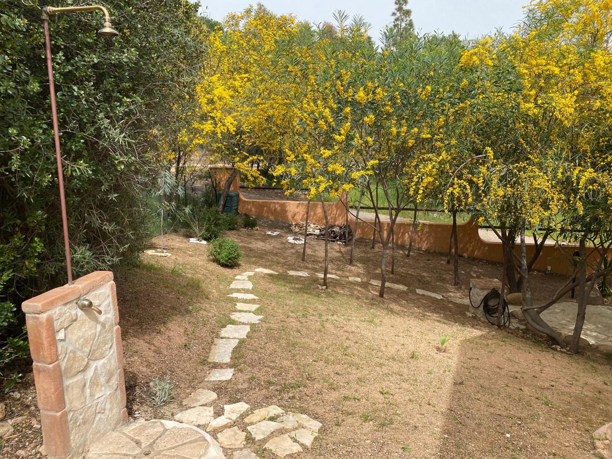 Residenza I Ginepri Villa Domus De Maria Exterior photo